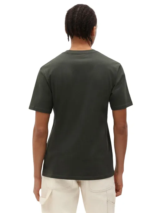 Dickies men's short sleeve t-shirt Mapleton DK0A4XDB olive green