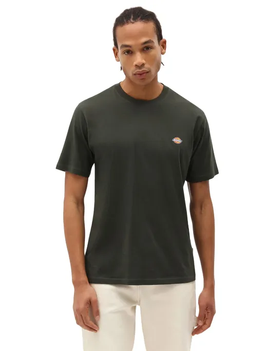 Dickies men's short sleeve t-shirt Mapleton DK0A4XDB olive green